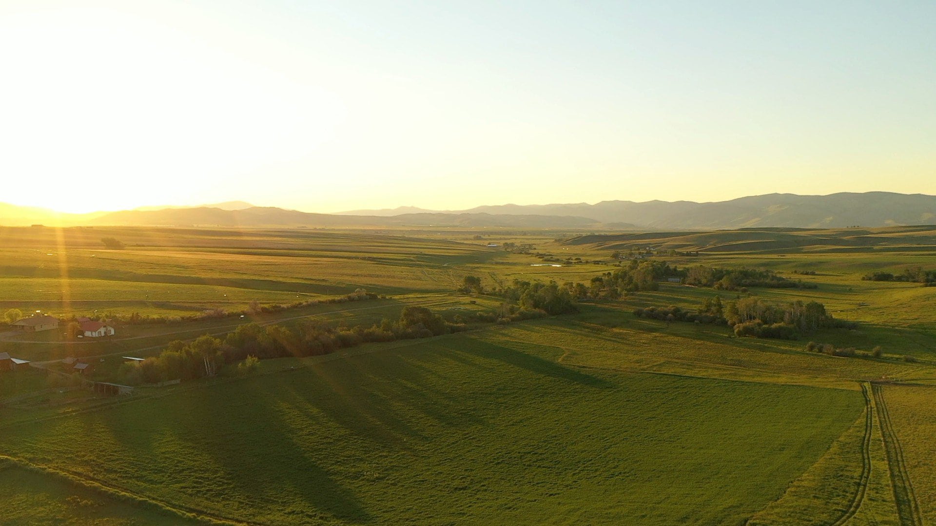 Aerial New Alfalfa Field Montana Barnes Creek Ranch (1)