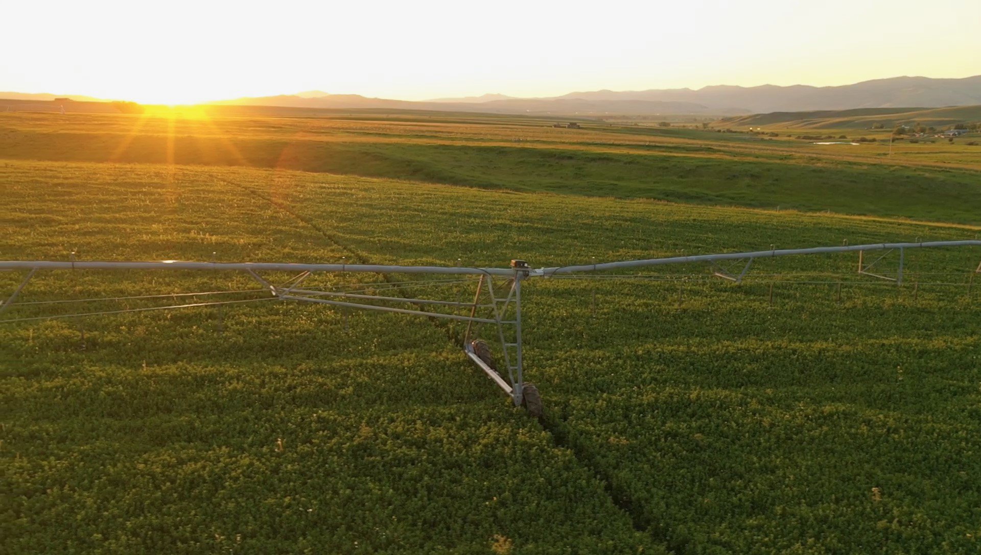 Aerial Sunset Over Pivot Irrigation Montana Barnes Creek Ranch