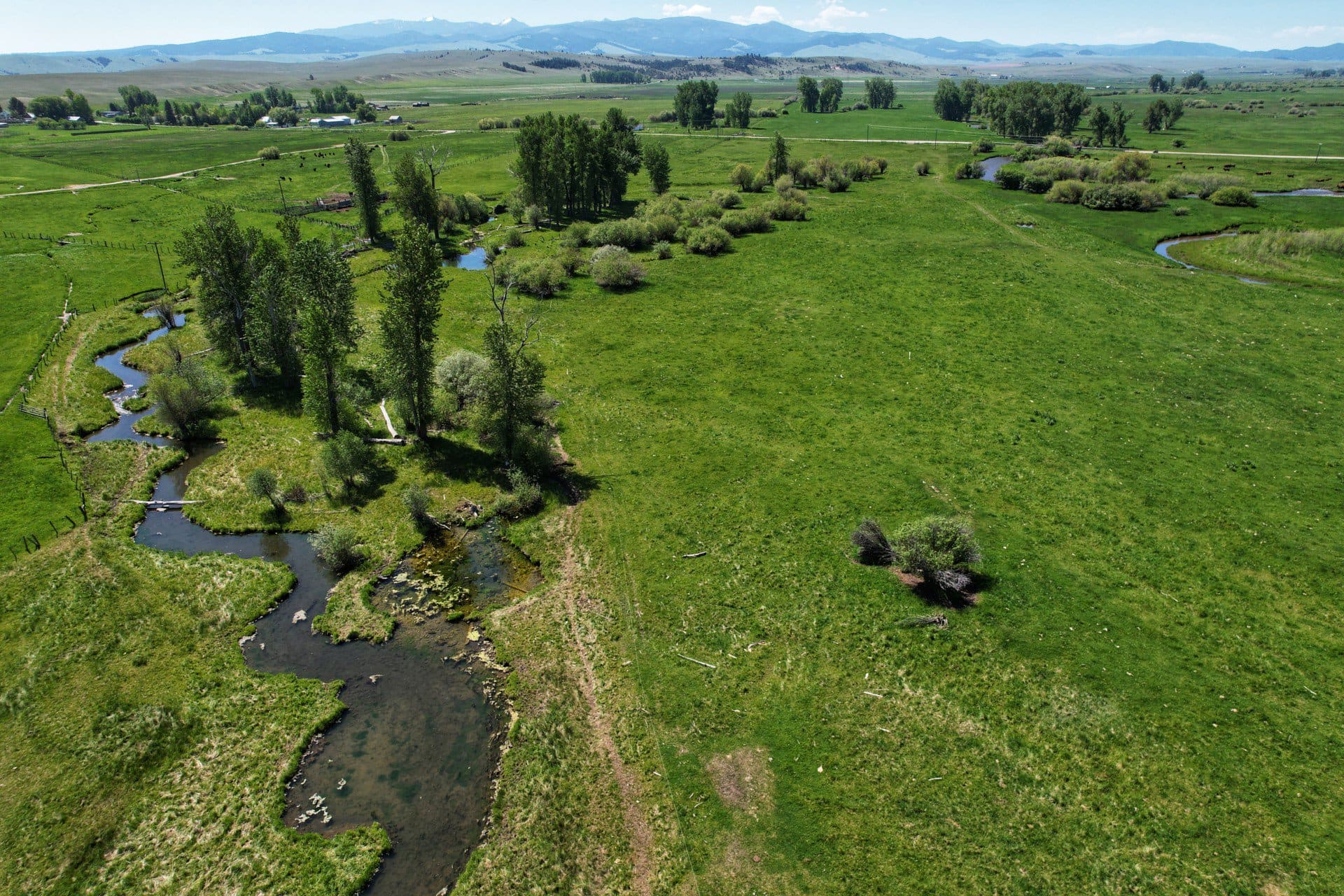 aerial views trees flint creek ranch montana