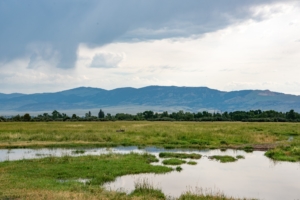agricultural property for sale montana clear springs ranch