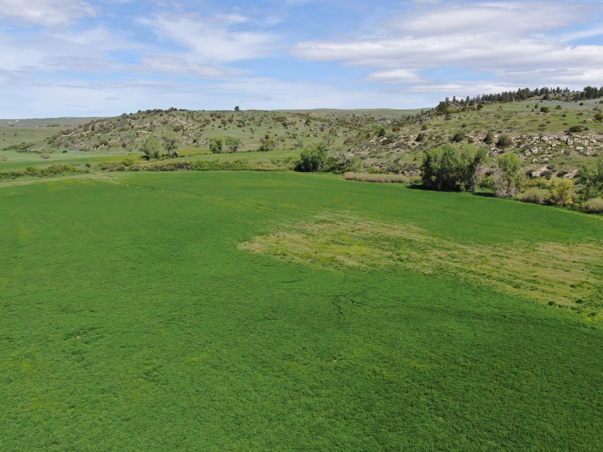alfalfa hay montana cooney ranch on red lodge creek
