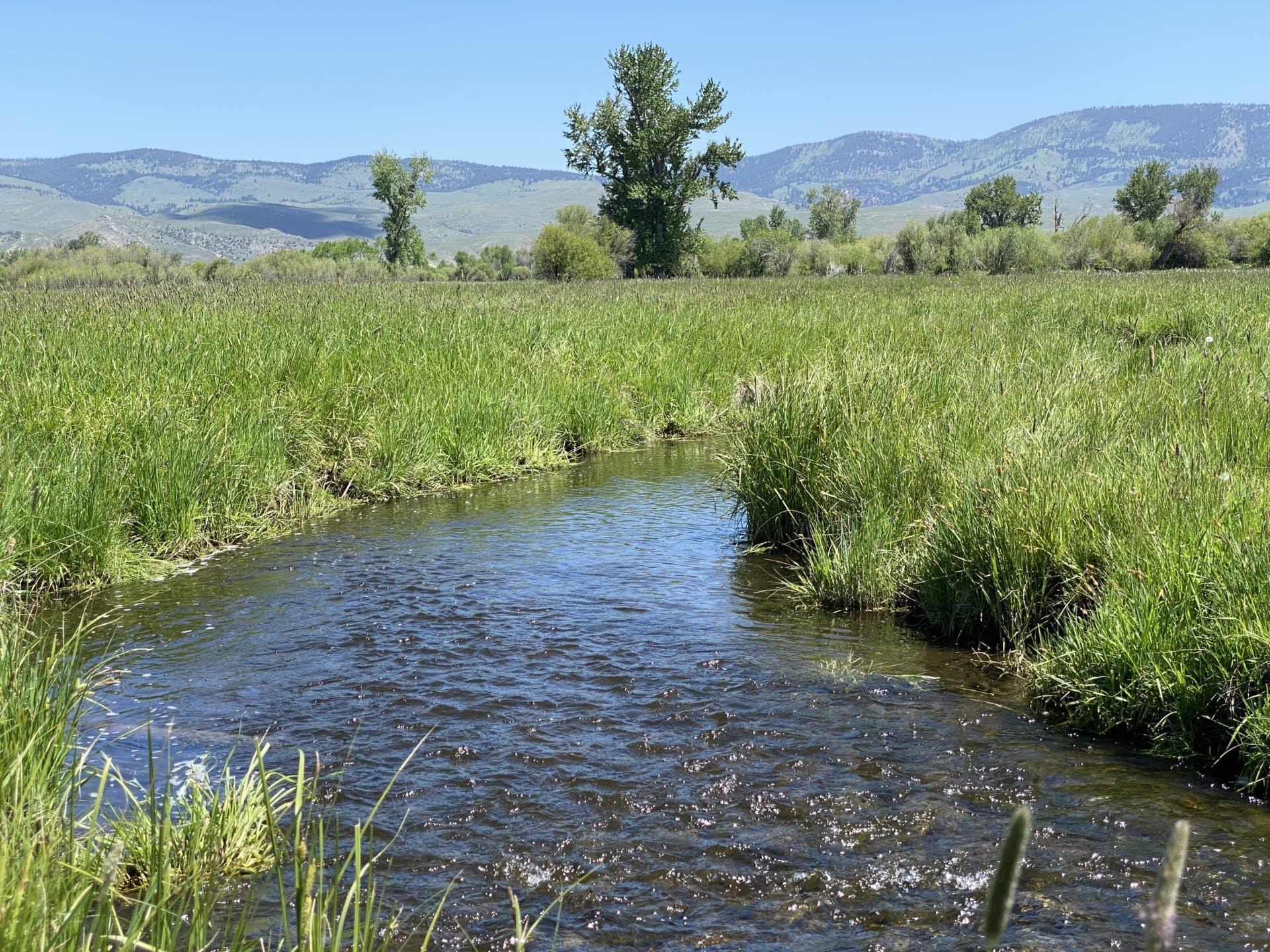 creek flint creek ranch montana | Fay Ranches