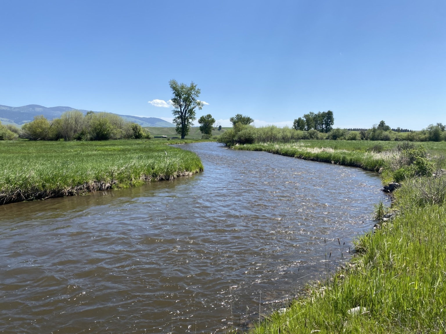 Flint Creek Ranch Drummond Montana Fay Ranches