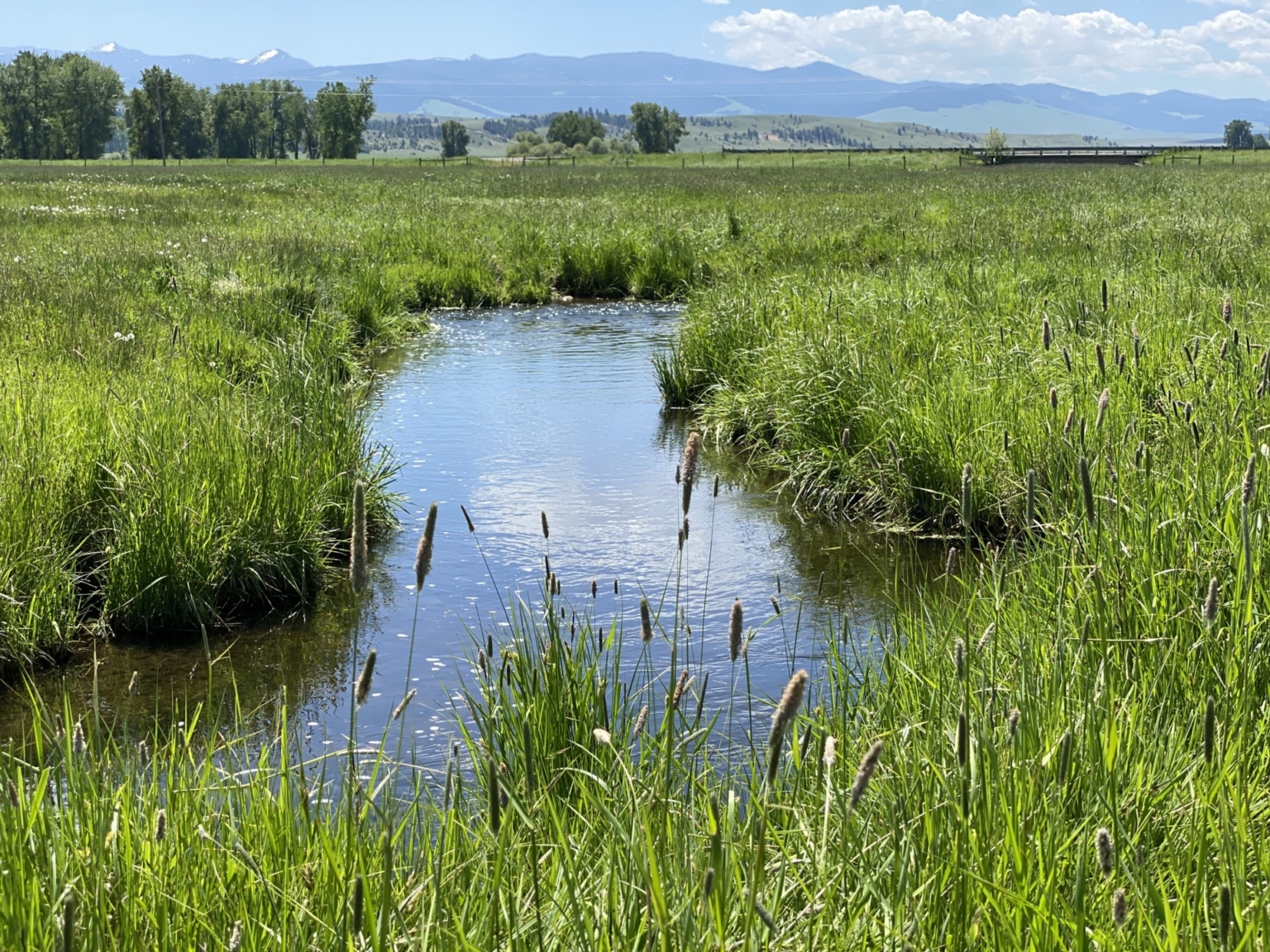 Flint Creek Ranch Drummond Montana Fay Ranches
