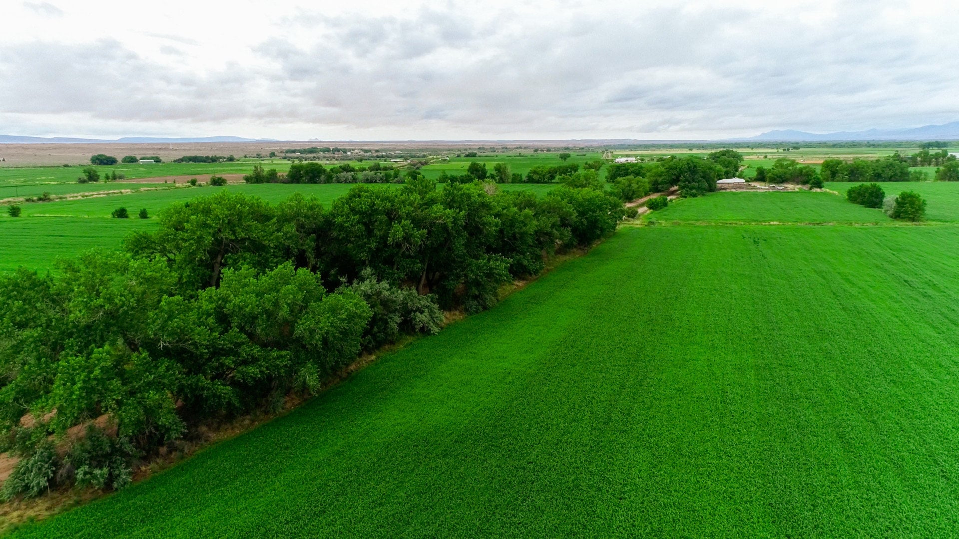 green farm shady ditch new mexico uncle bill's farm & ranch