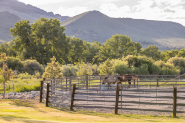 equestrian property for sale montana rivers edge ranch