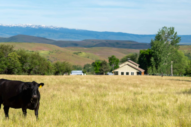 Renee Baker Idaho Farm and Ranch Sales Fay Ranches