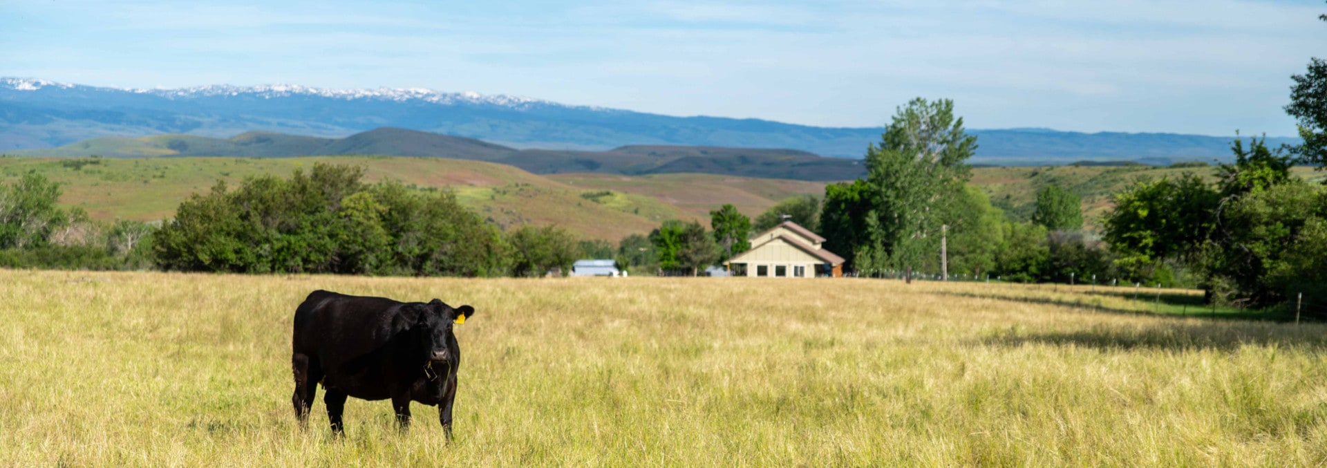 idaho property for sale idahomestead