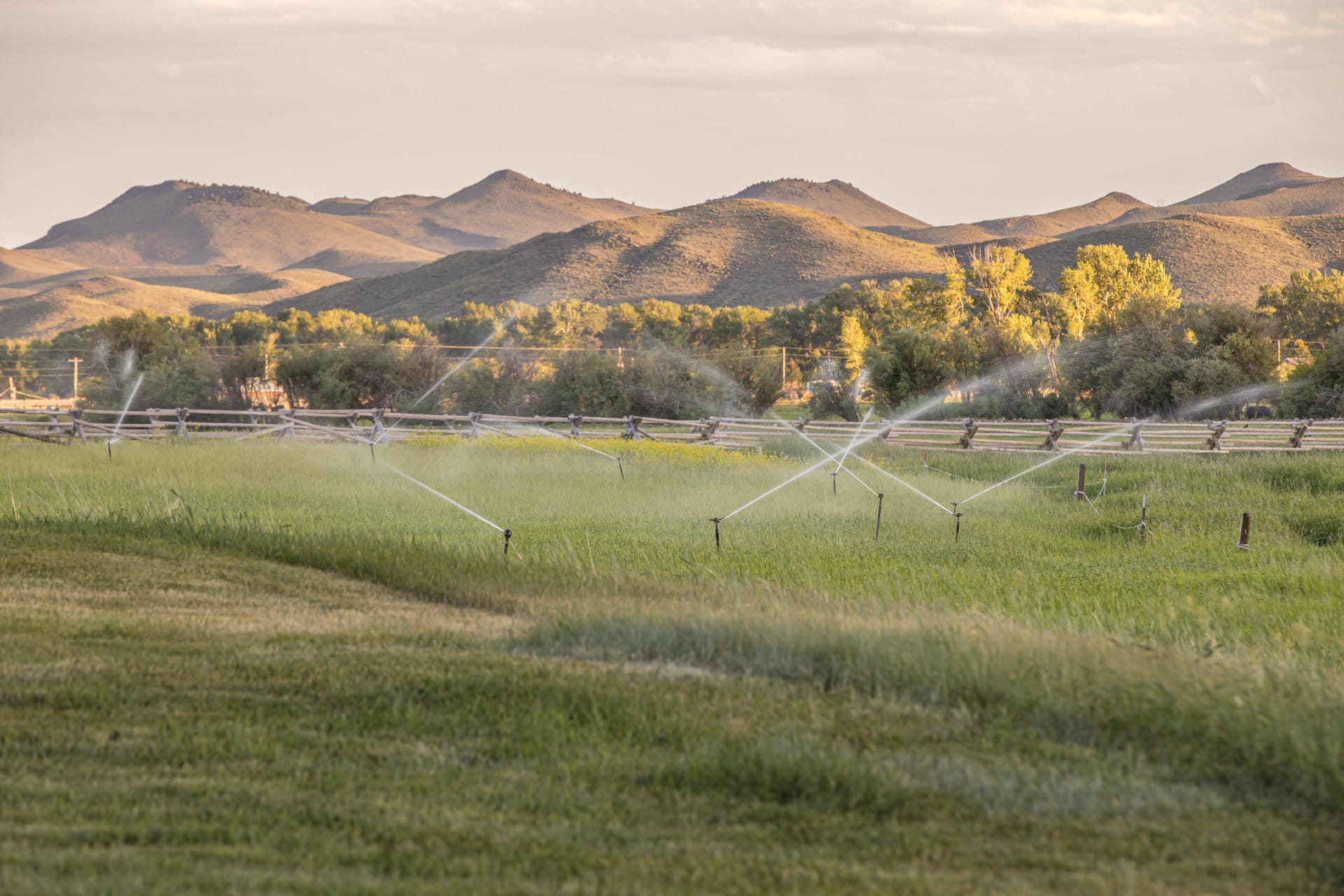 irrigated montana rivers edge ranch