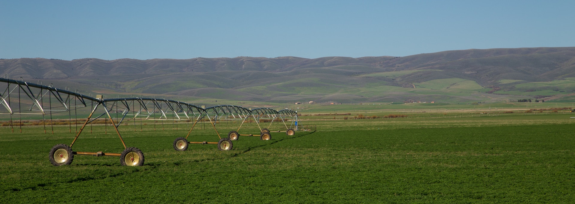 irrigation idaho shilo ranch