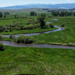 meandering creek flint creek ranch montana