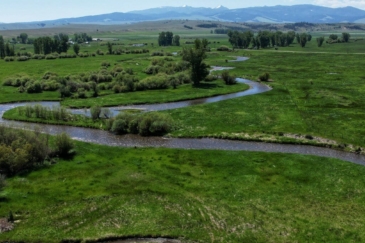 meandering creek flint creek ranch montana