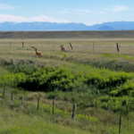montana land for sale fox hill ranch