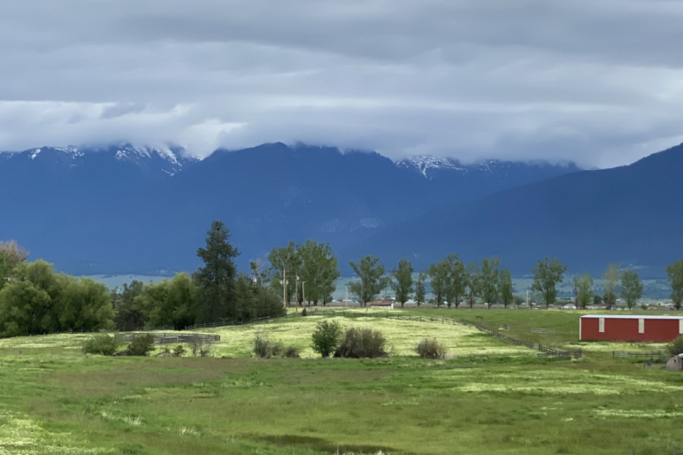 Arrow Ranch Large Big Hole Valley Ranch Fay Ranches