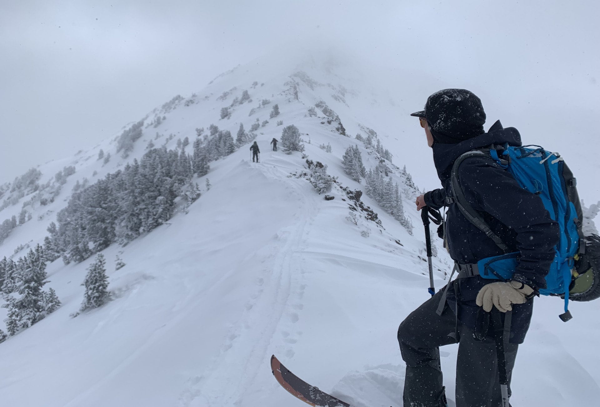 montana real estate broker near me emily cropped