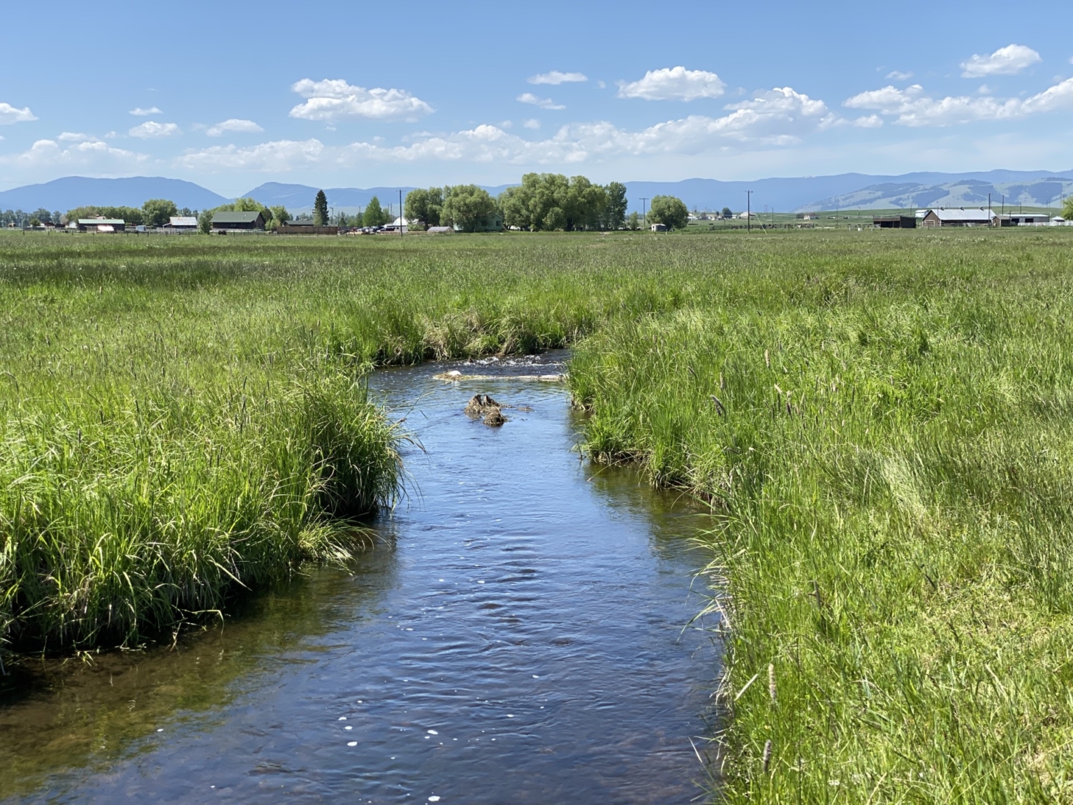 Flint Creek Ranch Drummond Montana Fay Ranches