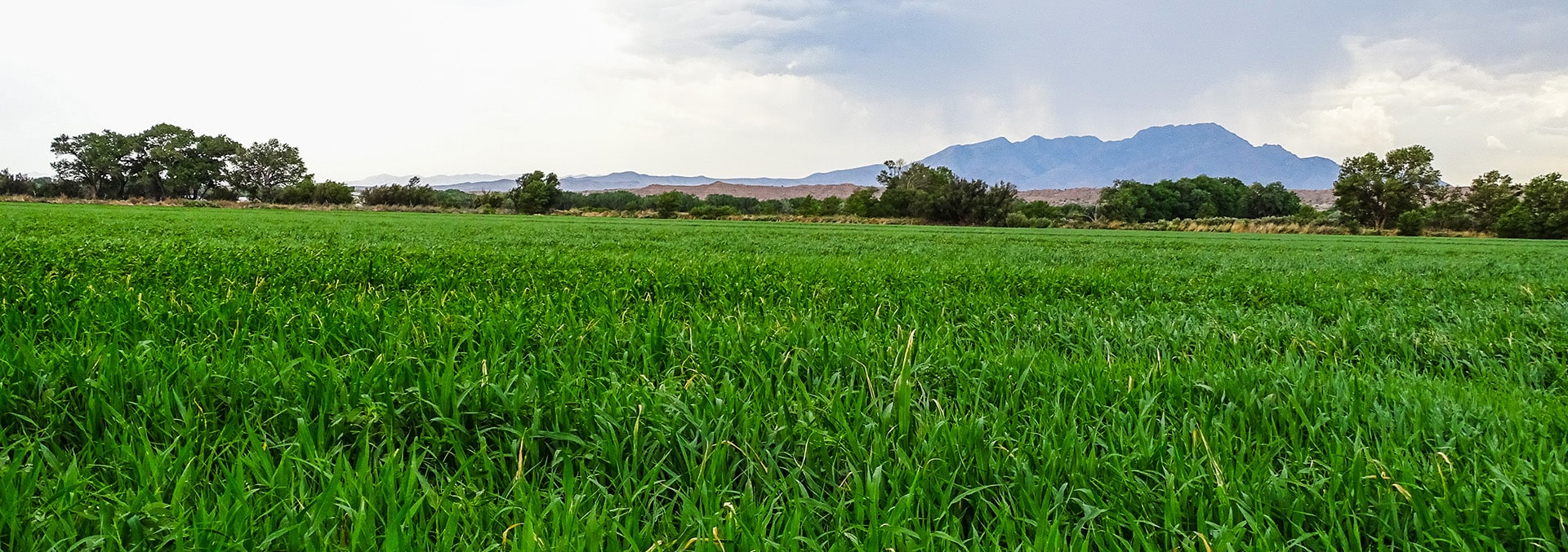 new mexico land for sale uncle bills farm and ranch