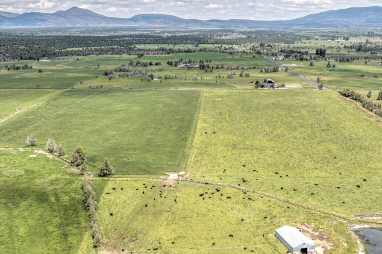 Oregon Farm Land For Sale Large Acreages Fay Ranches