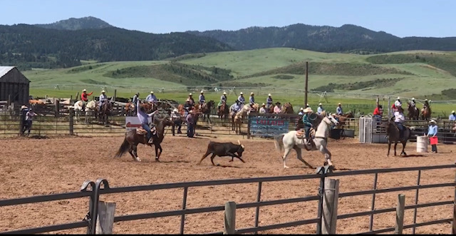 pioneer day rodeo idaho shilo ranch