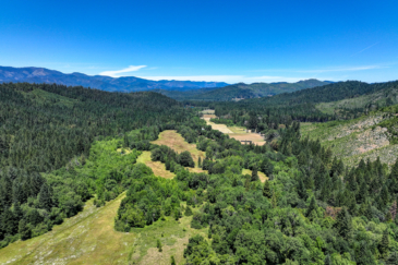 timber land for sale oregon flying b bar ranch