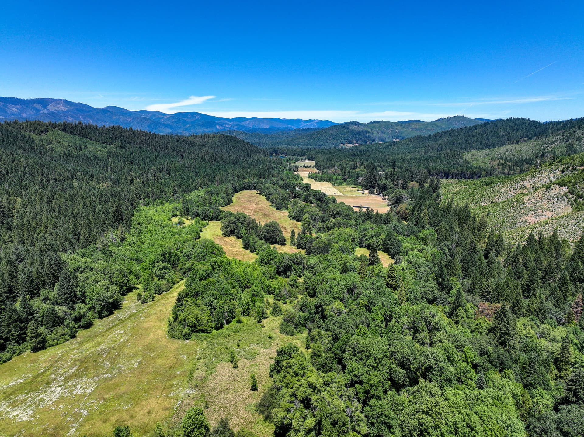 timber land for sale oregon flying b bar ranch Fay Ranches