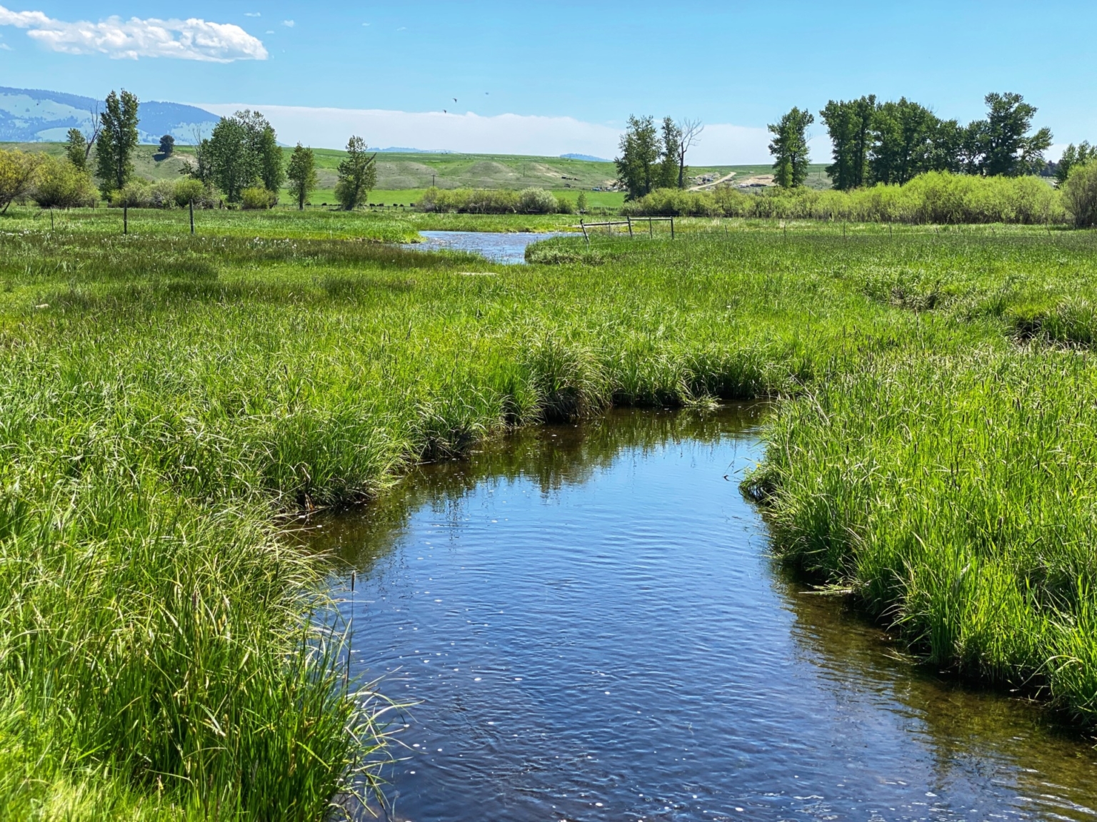 Flint Creek Ranch Drummond Montana Fay Ranches