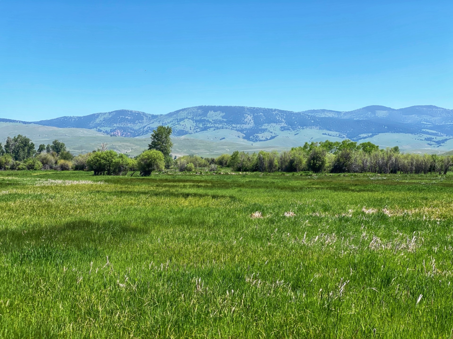Flint Creek Ranch Drummond Montana Fay Ranches