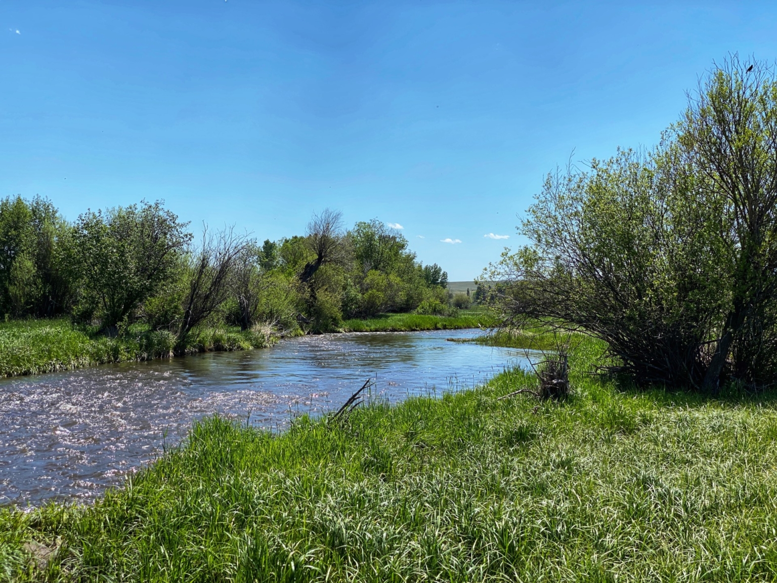 Flint Creek Ranch Drummond Montana Fay Ranches