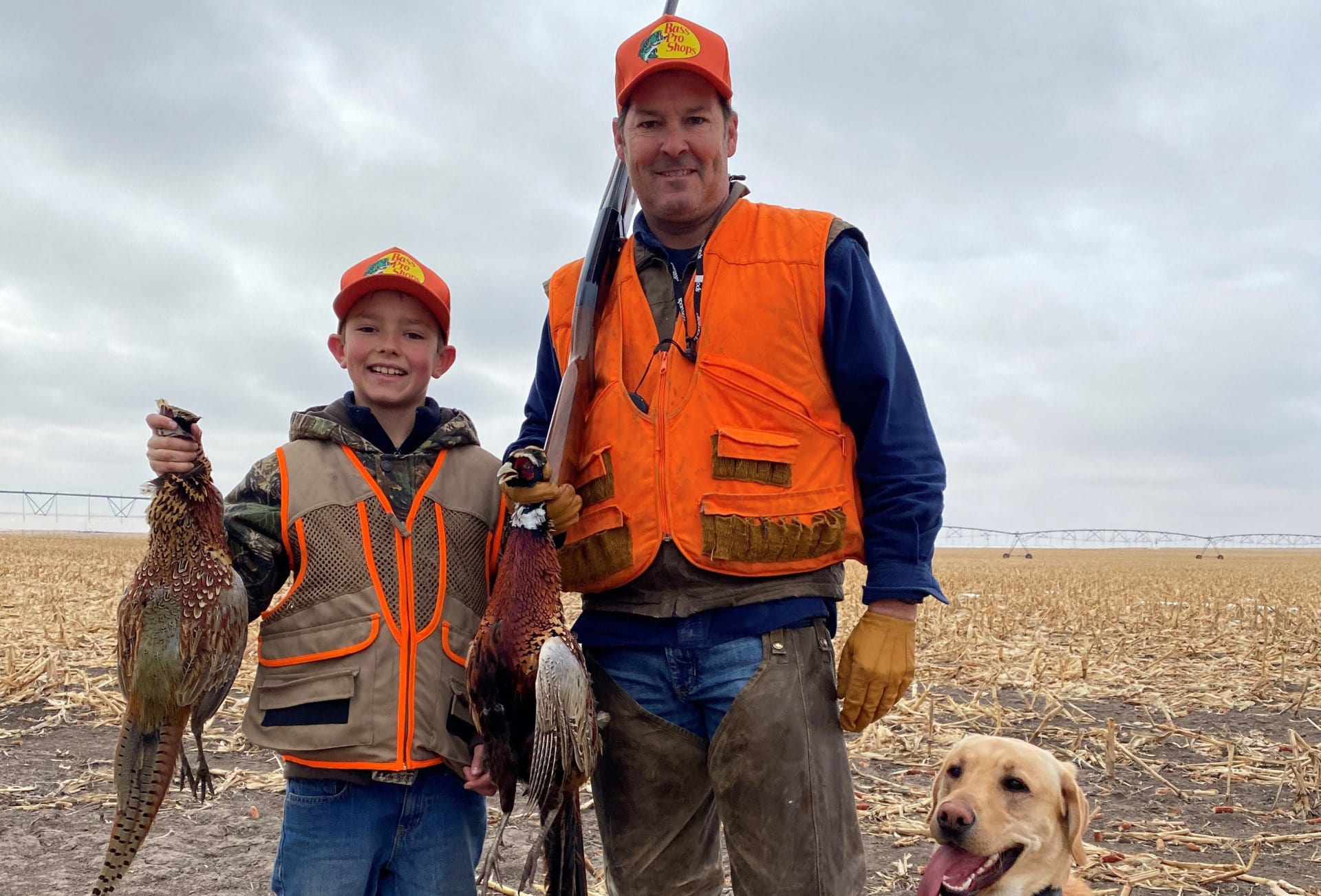 wyoming colorado real estate agent near me ren martyn pheasant