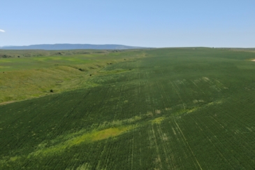 agricultural production land for sale montana velociraptor ranch