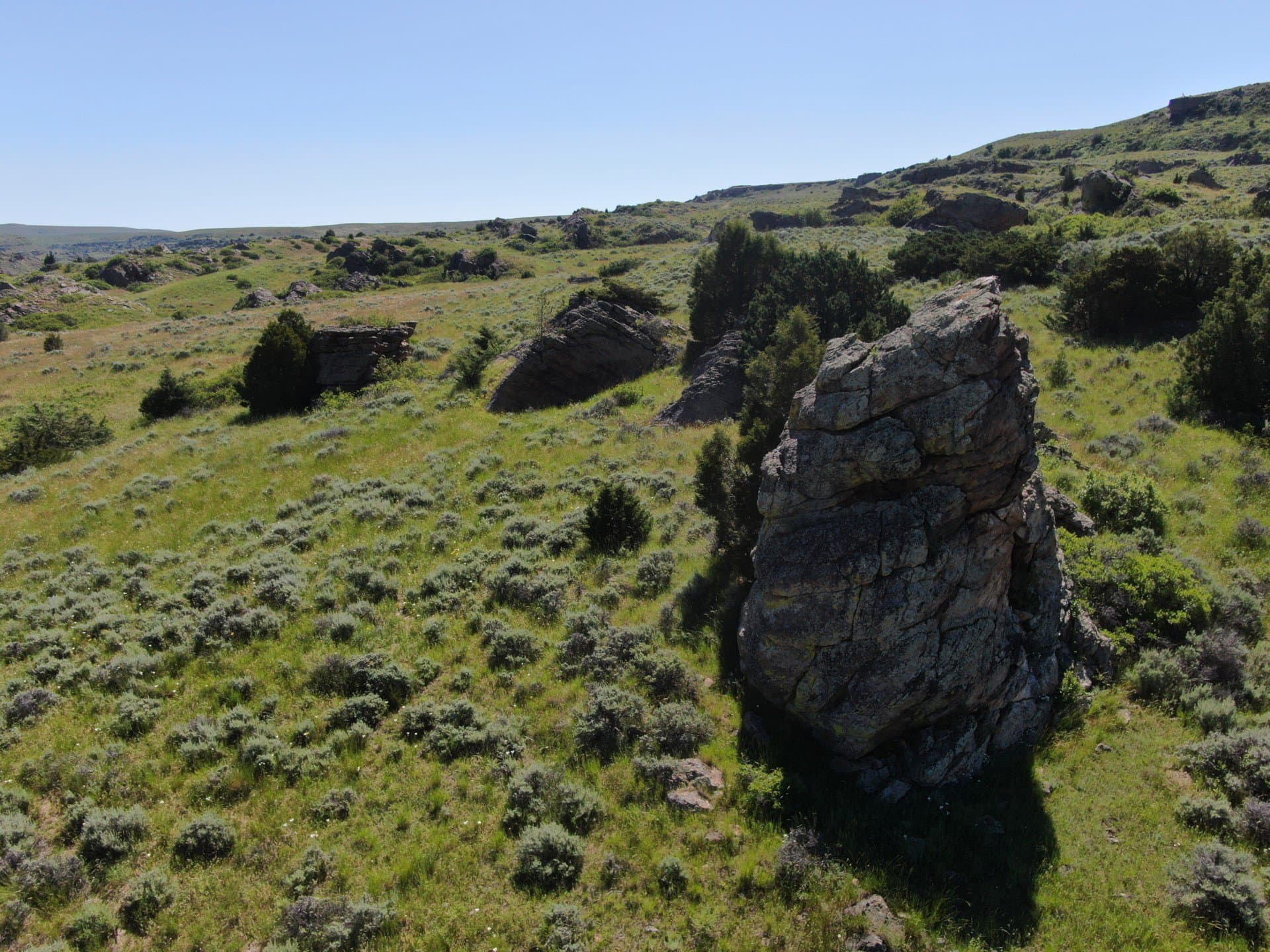 big rock montana velociraptor ranch