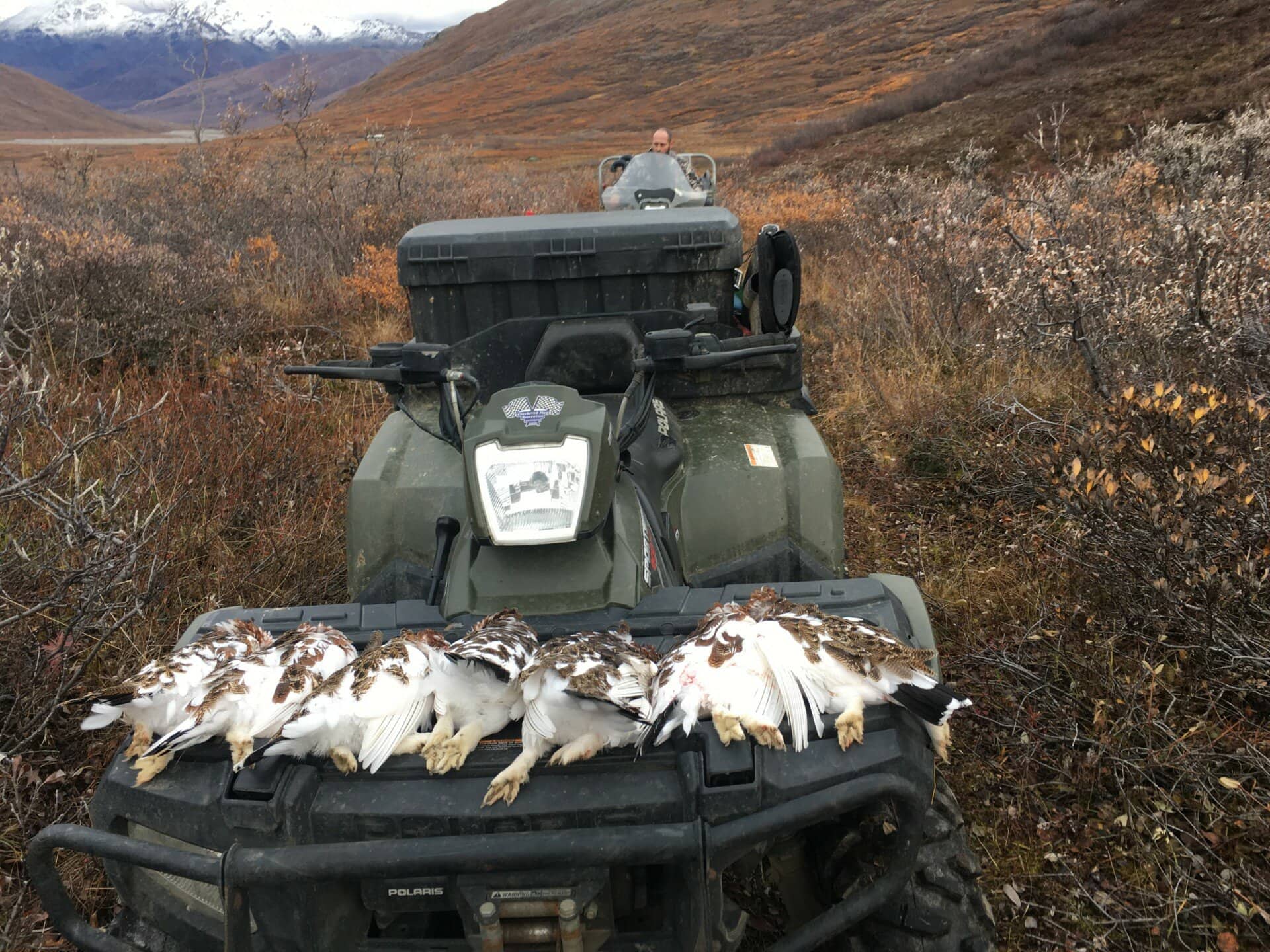 bird hunting alaska wood river lodge