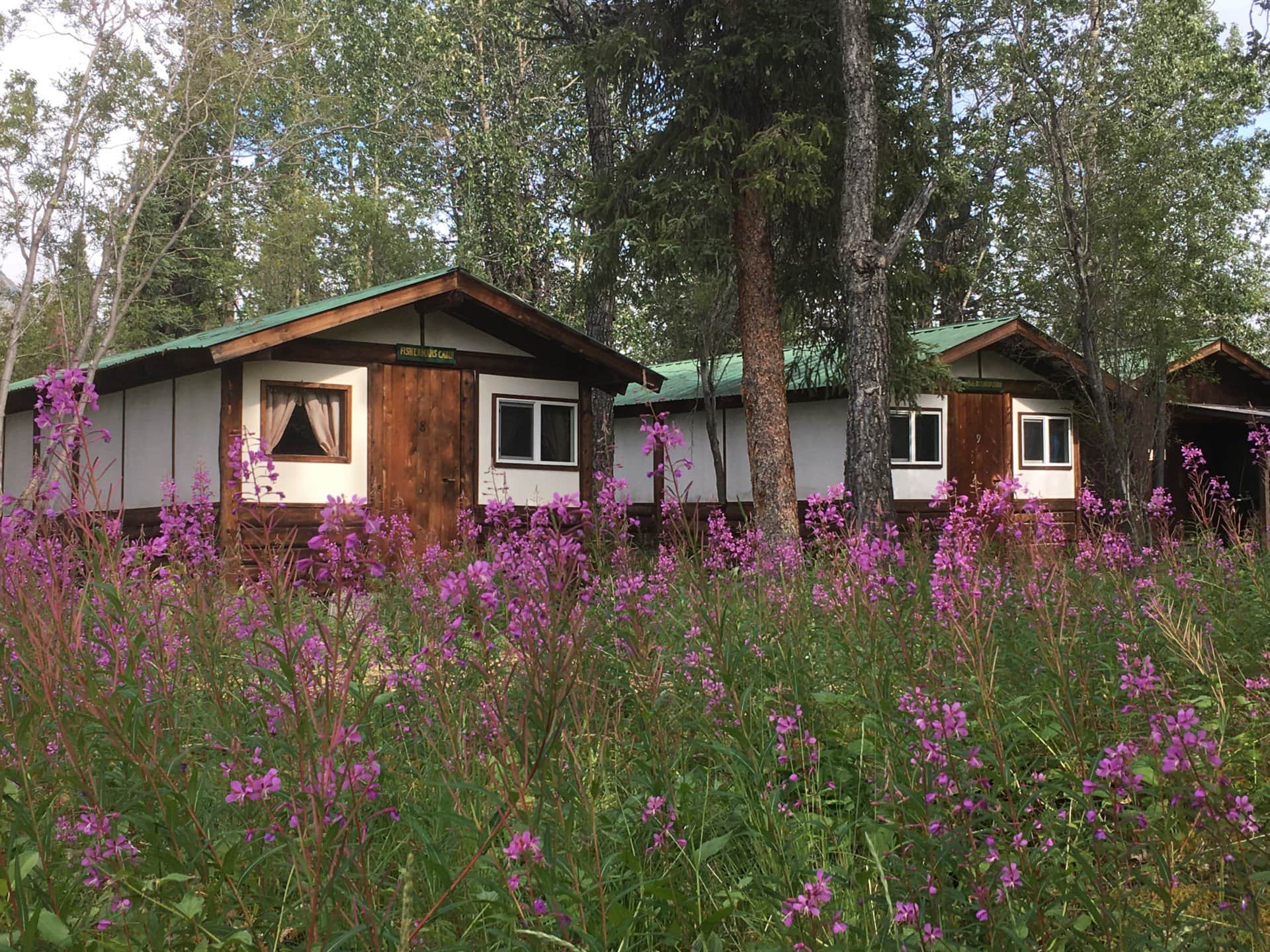 cabins alaska wood river lodge