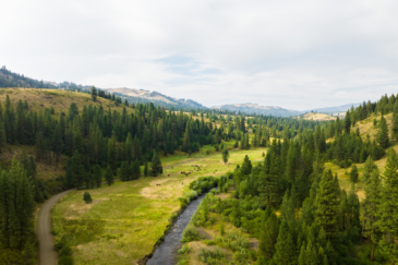 cattle property for sale idaho sanctuary on third fork
