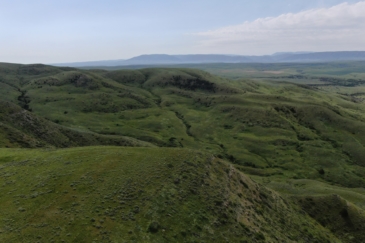 cattle property for sale montana velociraptor ranch