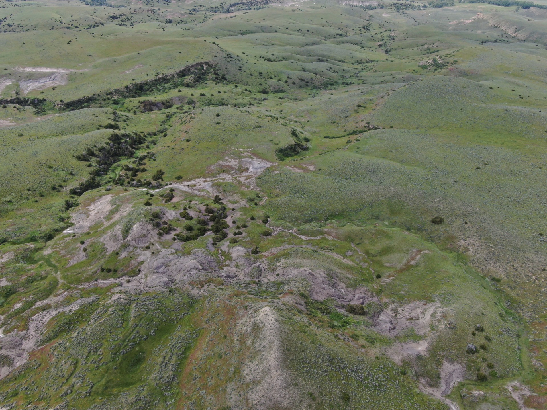 dino hill close montana velociraptor ranch