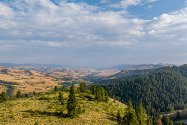 equestrian property for sale idaho sanctuary on third fork