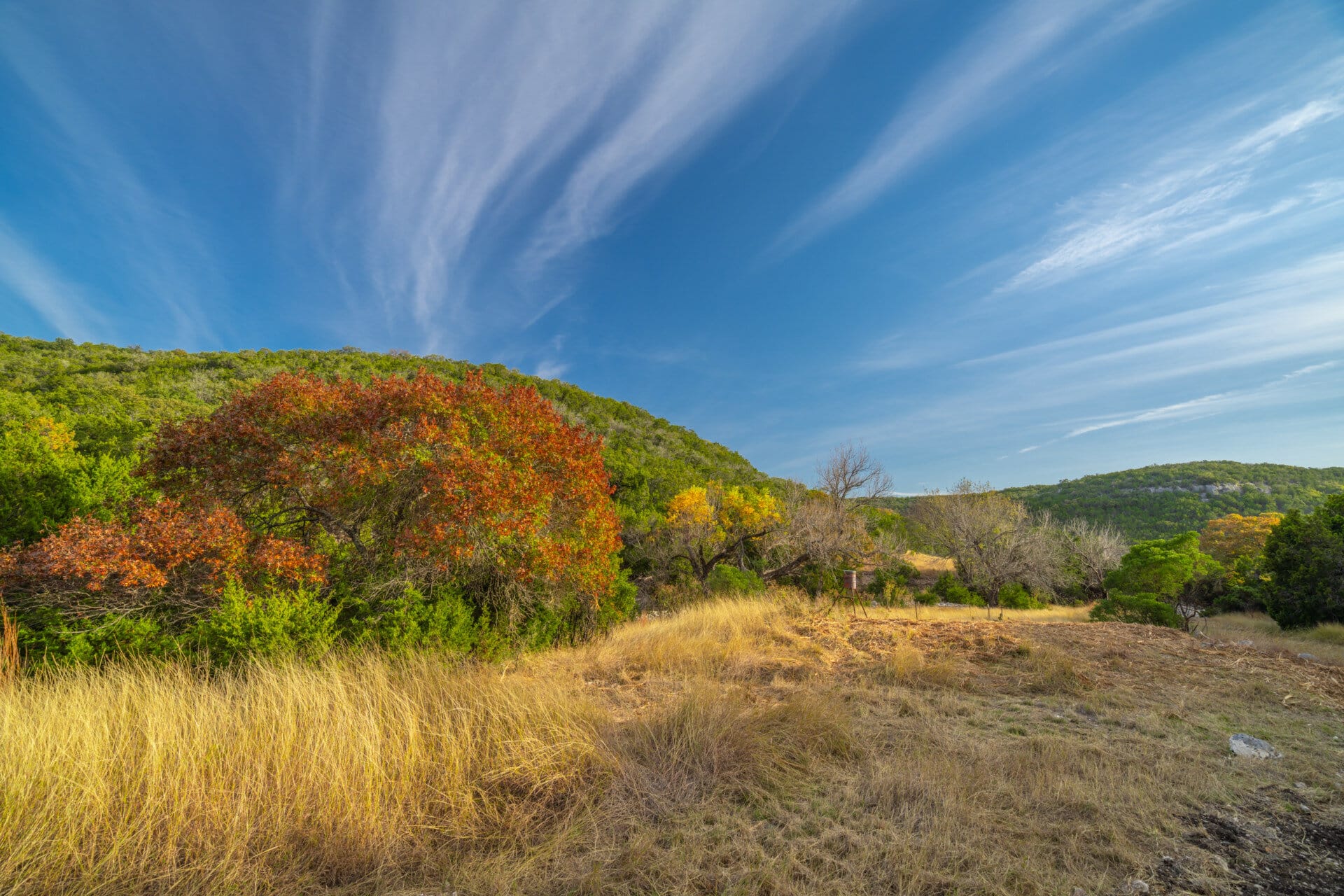 fall colors texas wapiti springs ranch