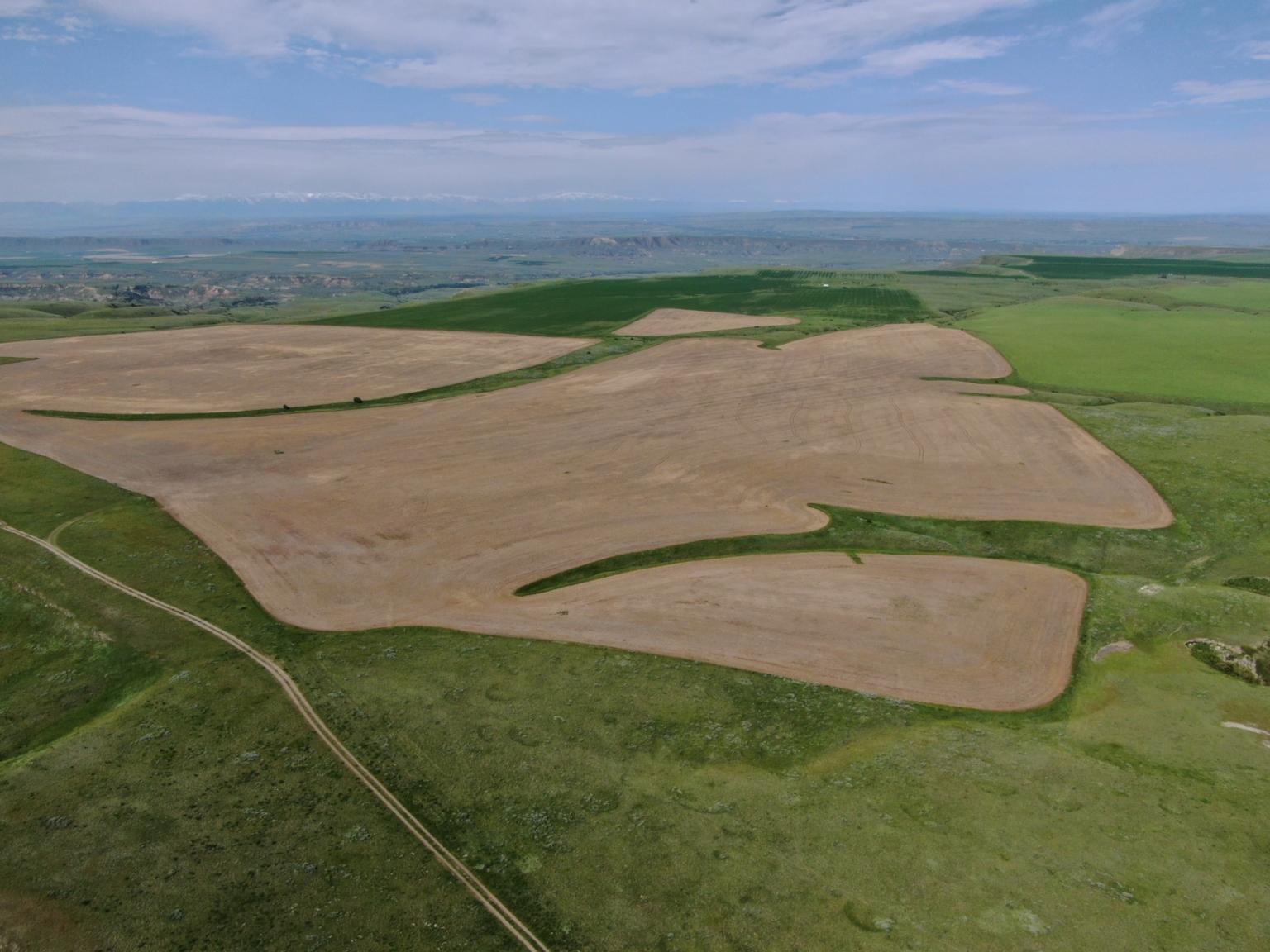 Velociraptor Ranch Billings Montana Fay Ranches