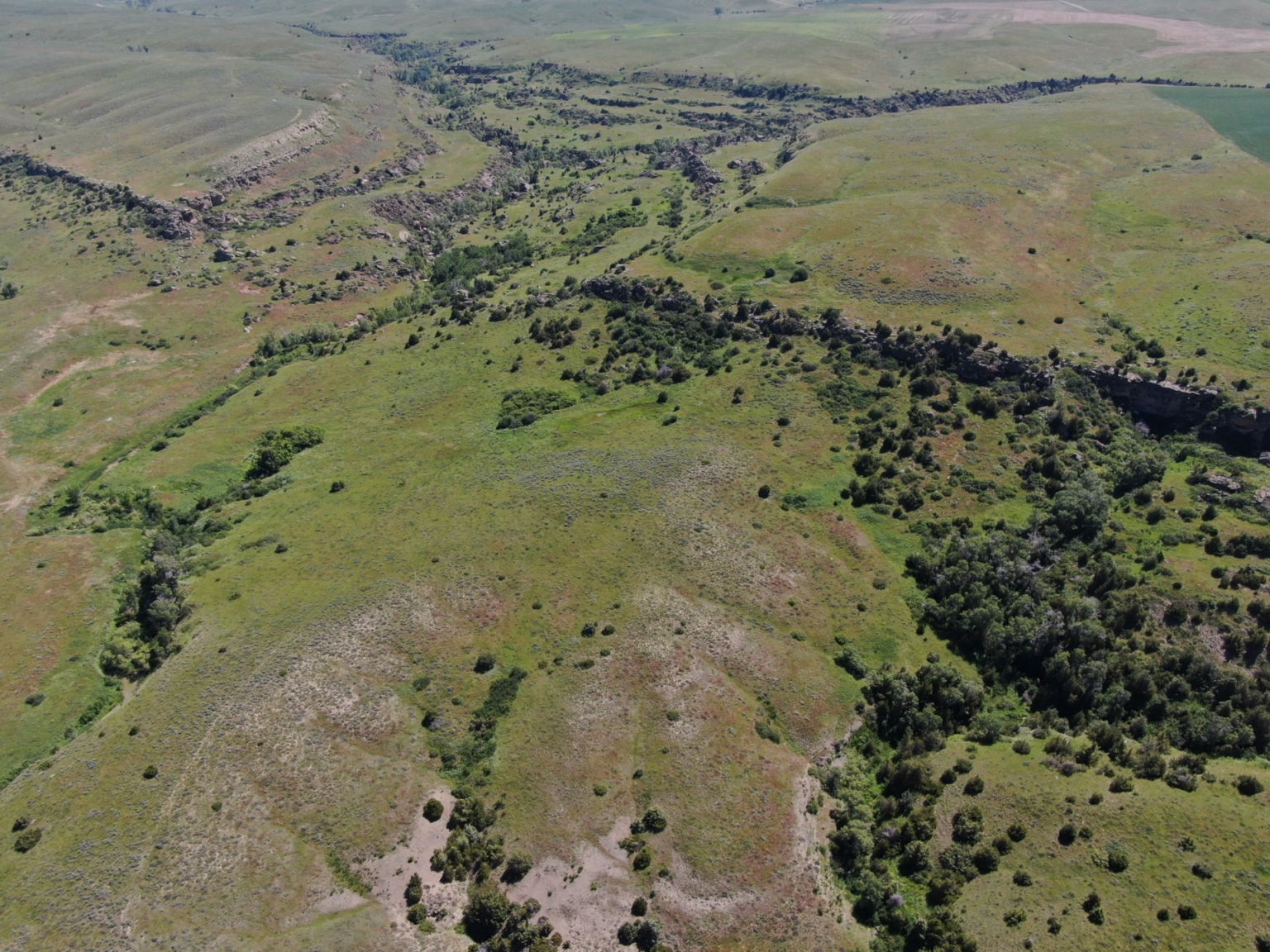 Velociraptor Ranch Billings Montana Fay Ranches