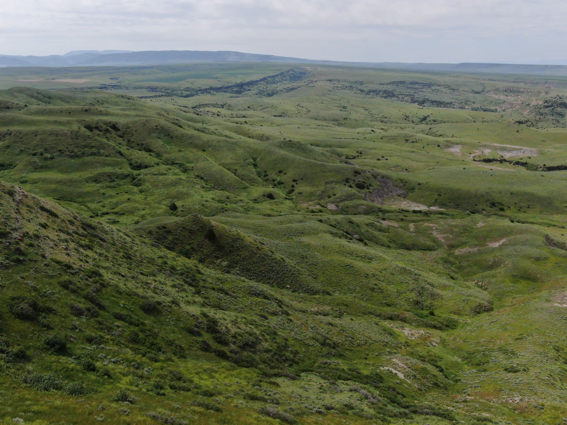 green hills pryors montana velociraptor ranch