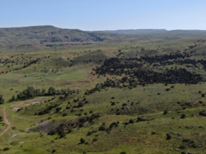 heavy timber big hills montana velociraptor ranch