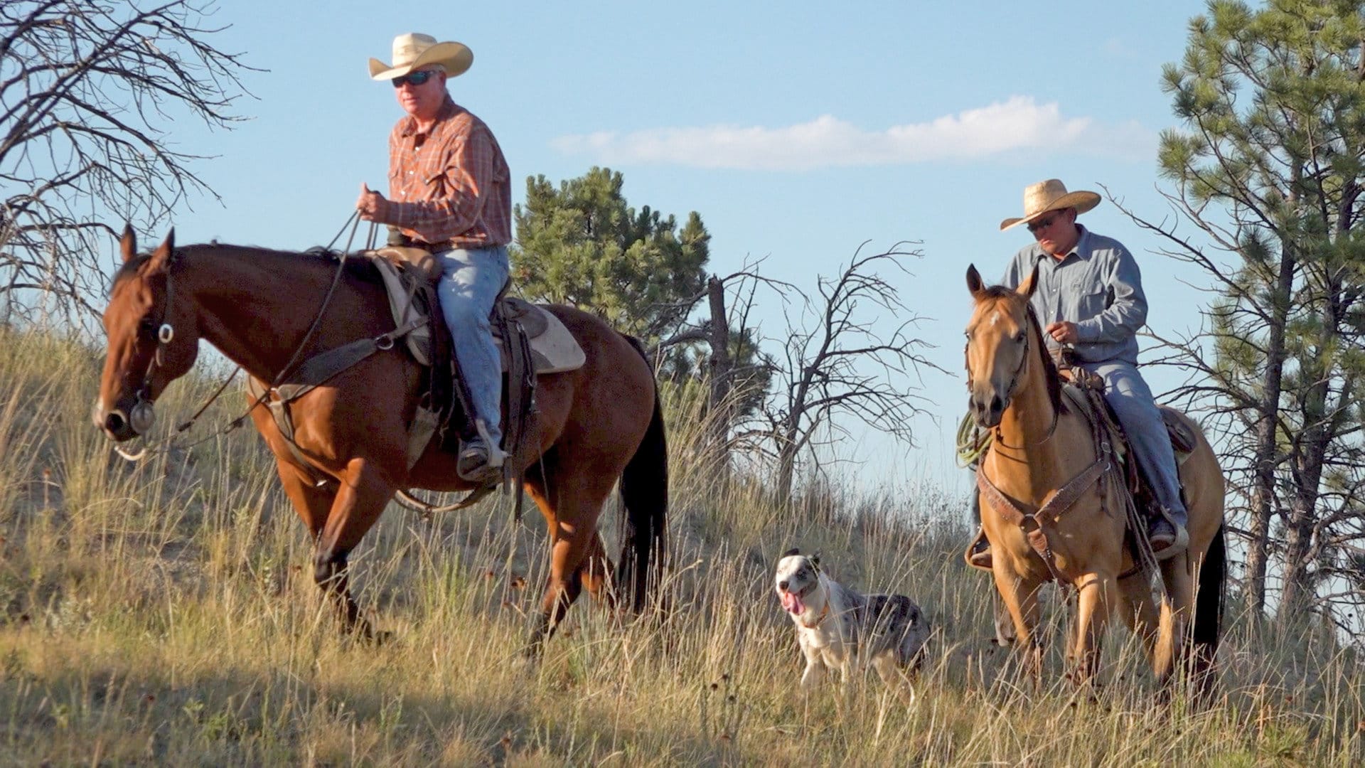 horse riding across ranch 3