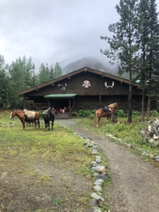 horses alaska wood river lodge