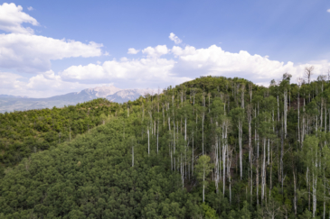 hunting land for sale Colorado Ragged Mountain east .Ranch