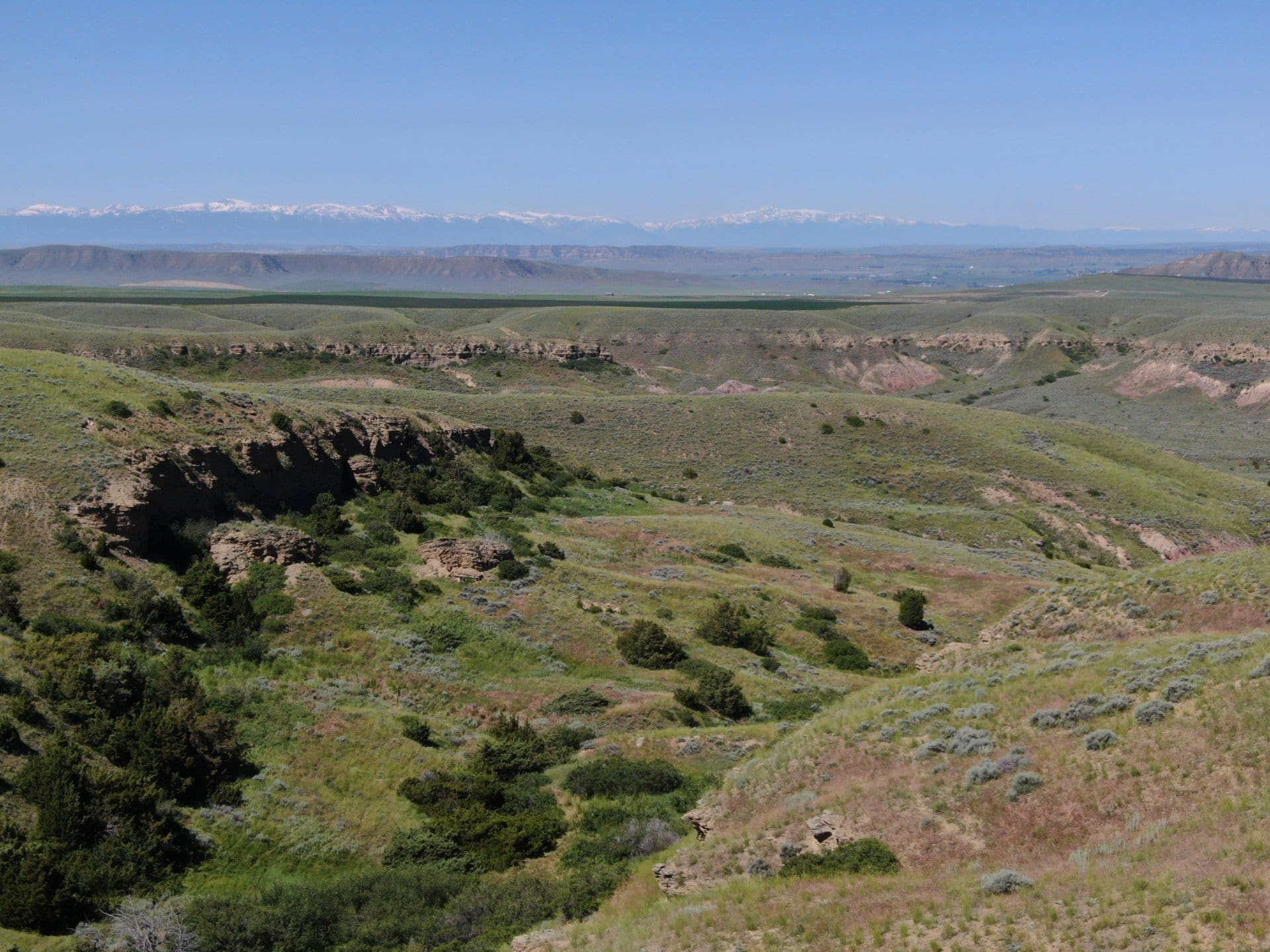 hunting land for sale montana velociraptor ranch Fay Ranches