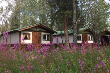 land with homes for sale alaska wood river lodge