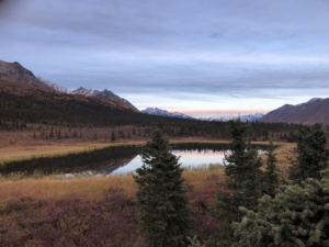 landscape alaska wood river lodge