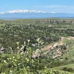 montana ranch for sale Velociraptor Ranch