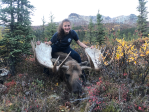 moose hunt alaska wood river lodge_